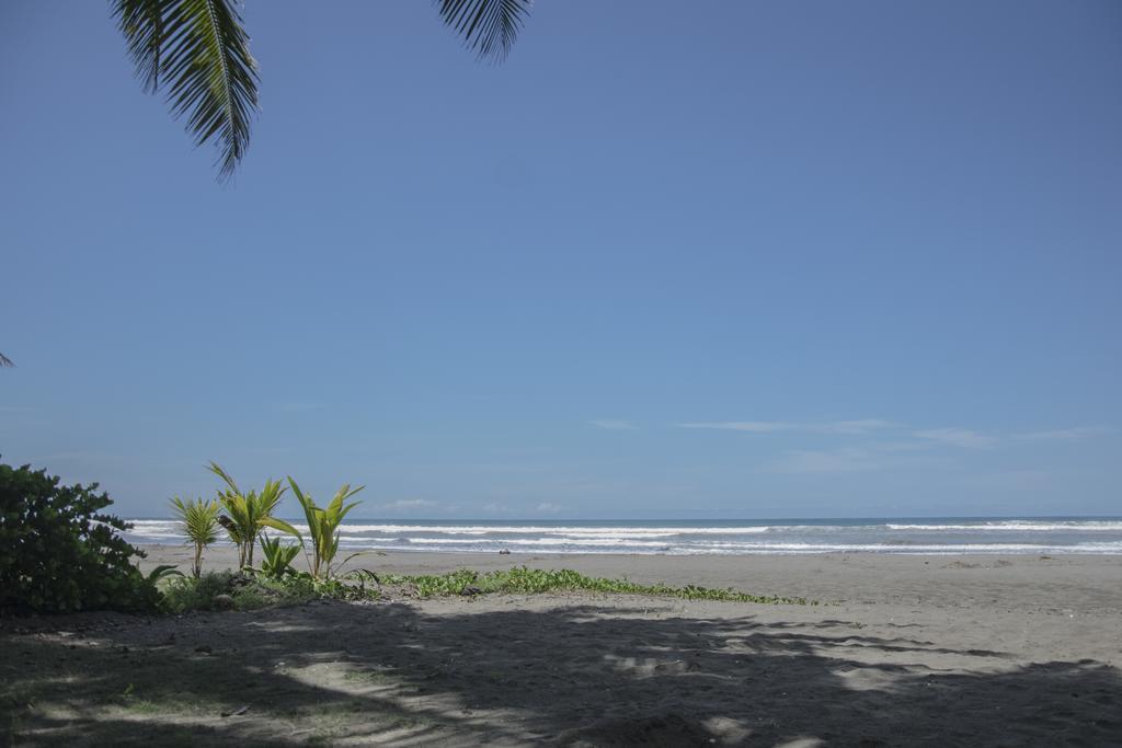 Pelican Beachfront Hotel Esterillos Este Exterior photo